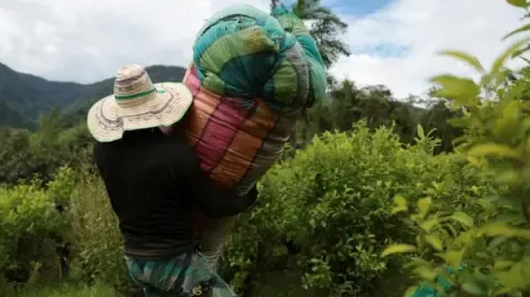 US Labels the South American Nation as Non-Cooperative in Narcotics Battle