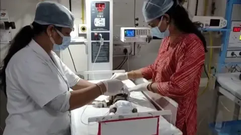 Infant Placed Living in the Country Battles for Survival