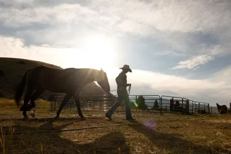 Get to Know the US Cowgirls Redefining Contemporary Farm Life