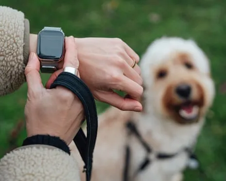 The Reality Concerning Fitness Trackers? Life Feels Fuller Lacking a Bossy Gadget on Your Arm